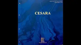 Bernardo Bartalucci Cesara видеообзор каталога обоев (HD)