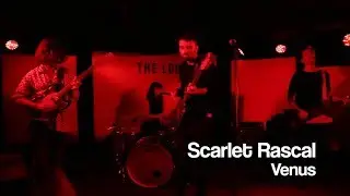 Scarlet Rascal - Venus | BMS TV