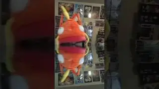 Magikarp use Watergun! #shorts #pokemon