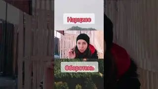 Нарцисс оборотень