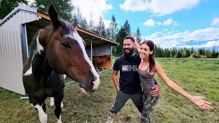 COMPLETING The Perfect Portable Shelter! Now Back To Our HOME BUILD