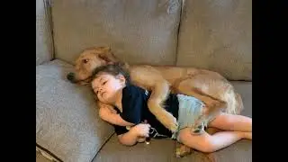 Baby with dog // The Babies World / #Shorts