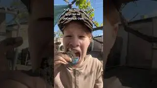 Как вкусно… 🤢