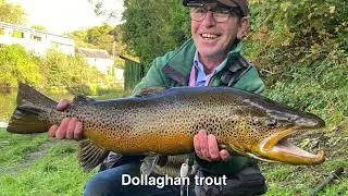 DAERA Inland Fisheries Instream Works