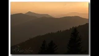 Understanding White Balance
