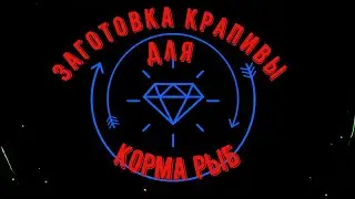 Заготовка и хранение крапивы для корма рыб, АКВАРИУМИСТЫ РОССИИ