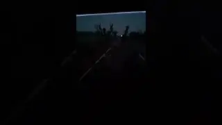 1 июня 2024 г.
