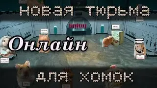 Новая тюрьма для хомок 🤭🐹показ ВАШИХ работ ОНЛАЙН