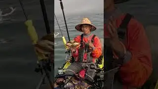 Kayak crabbing a HUGE 7 inch Dungeness crab