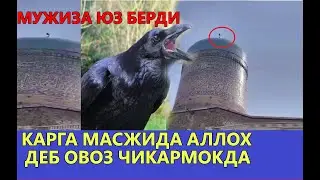 КАРГА МАСЖИДГА КЕЛИБ АЛЛОХ АЛЛОХ ДЕБ ОВОЗ ЧИКАРЯПТИ