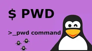 All you need to know about PWD command Linux