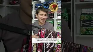 Рок-н-Ролл на электрогармошке! Элвис Пресли захотел бы себе такую же! #мидигармонь #midi #гармонь