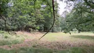 walking home (timelapse attempt 2)