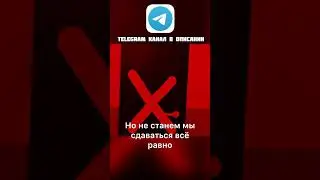 Название съел кот￼