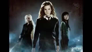 10 MINUTES || Harry Potter || Wingardium Leviosa || Chicken ( cover Big Marvel )
