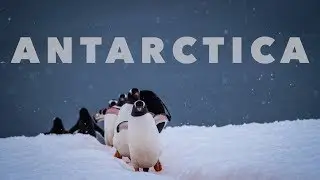 ANTARCTICA 4K