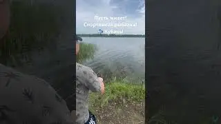 Рыбалка на Кубани! Отличный клёв! Пусть живет! 🎣