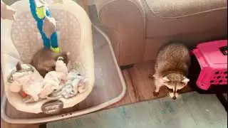 Small but mighty!