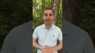 Эта история достойна экранизации! Романтический триллер из Обнинска!