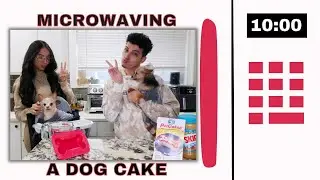 We MICROWAVED A Birthday Cake For Our Dogs 🍰 *our chihuahua turns 10*