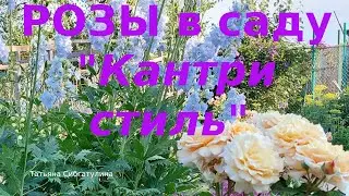 Розы  Мой сад в природном стиле