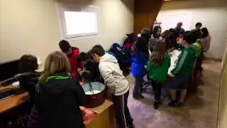 Albigaztak, pastores de ovejas