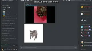 this is why there's no videos
