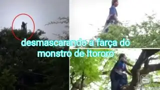 desvendado o misterio do monstro de Itororo