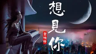 想見你想見你想見你-萧忆情Alex-想见你 | 電視劇『想見你상견니』片尾曲 | 蟬聯KKBOX《華語單曲周榜》榜單10連冠【中文华语歌曲/中文動態歌詞音樂/Music Lyrics Video】