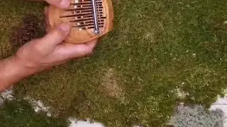 Калимба 11 язычков (корпус слива) купить в Минске