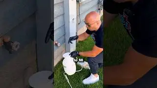 How to Do Your Own Pest Control