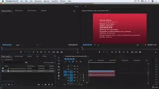Понятие Клипа в Проекте