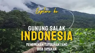 Explore Di Gunung Salak 2024 #buscraft