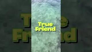 Know your real friend 😍😍😍