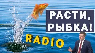 5 горячих экономических новостей, или Расти, рыбка!
