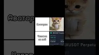 💵Обычный профиль крипто миллиардера📈