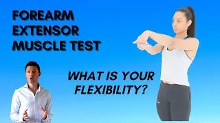 Forearm Extensor Muscle - Test Your Flexibility...