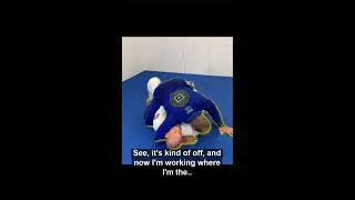 Xande Ribeiro Jiu Jutsu Mount Escape Guide #shorts