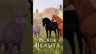 Black Beauty 🖤 