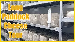 I Visited a Cheese Factory For My Birthday - Long Paddock Cheese