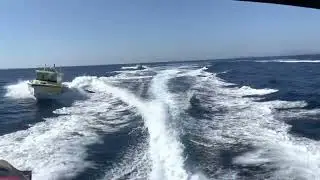Die neuen Einsatzboote aus der Axopar-Reihe wurden in Pula und auf der Insel Rab stationiert