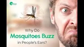 Why Mosquitoes Buzz in People's Ears. African Folk Tale ,Number5