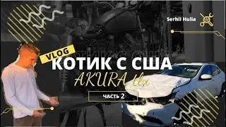 Котик с США Acura TLX 2019 Часть 2