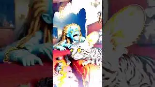 Instagram Reels Video edit 