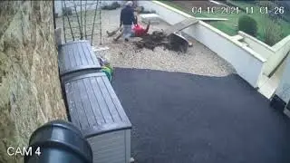 Hilarious moment gardener slips down a walkway - tipping a wheelbarrow of soil onto his head