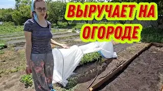 #112 Из Германии  в Россию Декоративная штукатурка 🔥 / На огороде сюрприз 😁