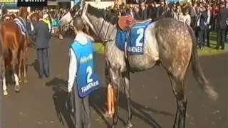 2015 MVRC W S Cox Plate _ Pre Race