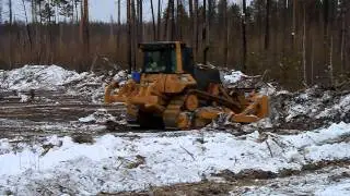 Бульдозер работает на расчистке просеки