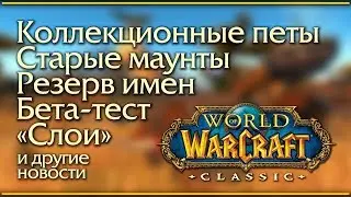 WoW Classic: the game and beta news.