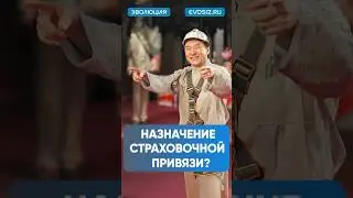 Зачем нужна страховочная привязь ? #сиз #защита #работа #сварка #безопасность #обучение